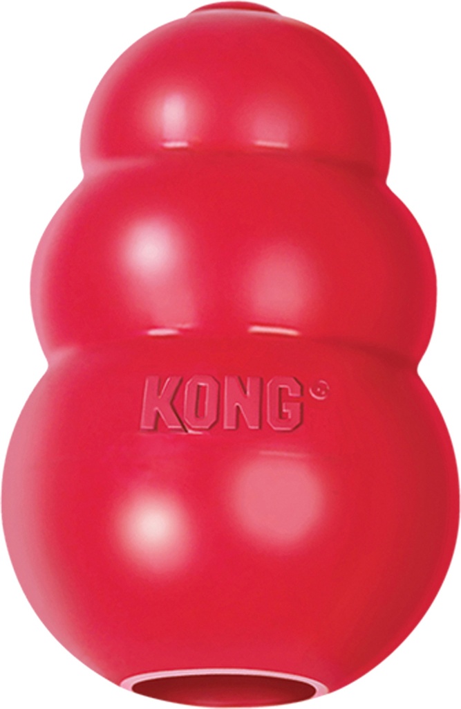 Kong Rood X-Large