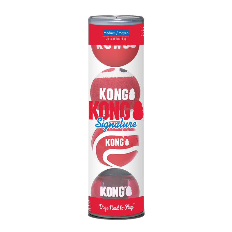 [020 1856] KONG SIGNATURE BALLS 4ST
