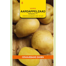 Aardappel Frieslander 7st