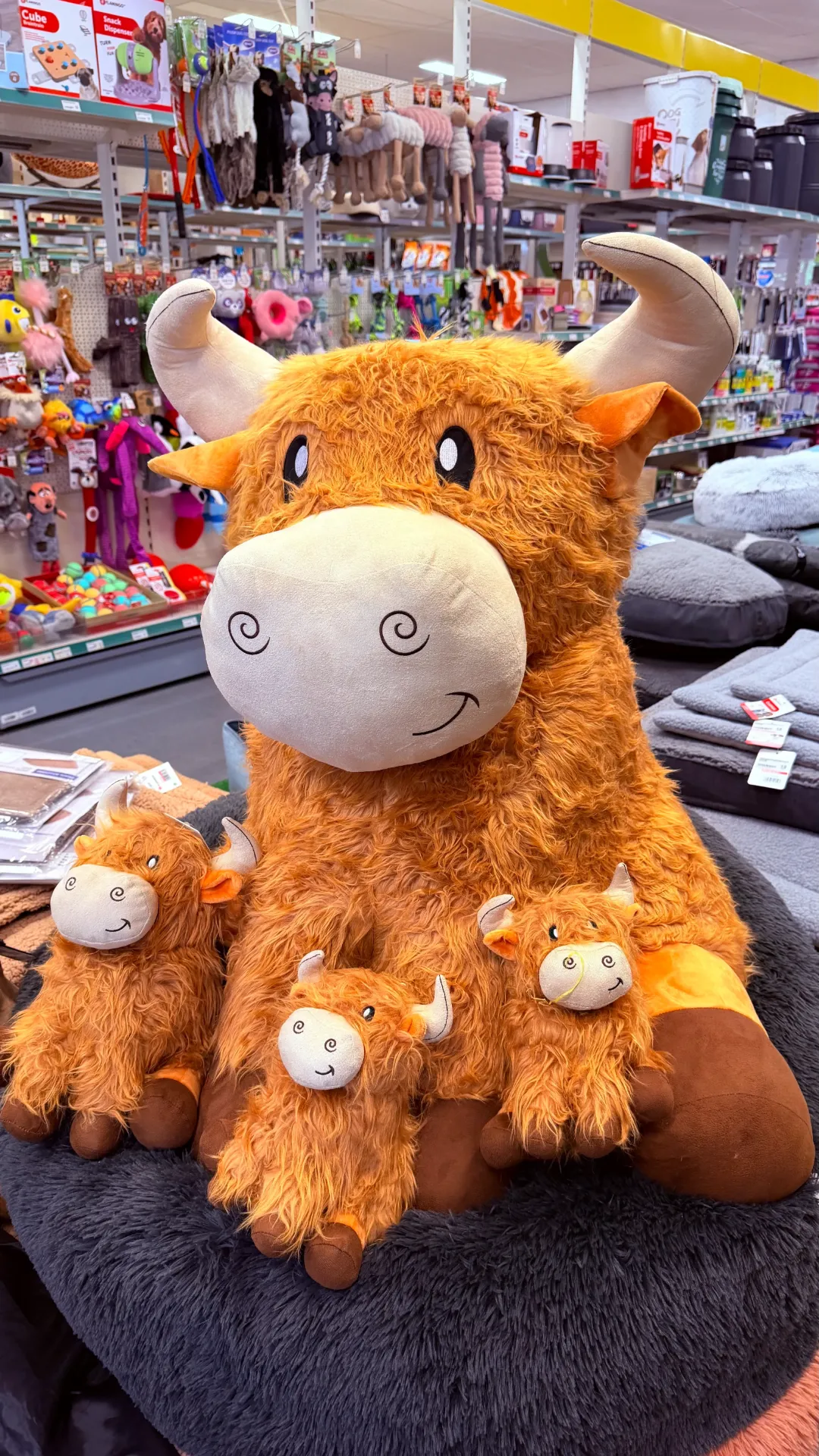Knuffel Schotse Hooglander Bonnie M