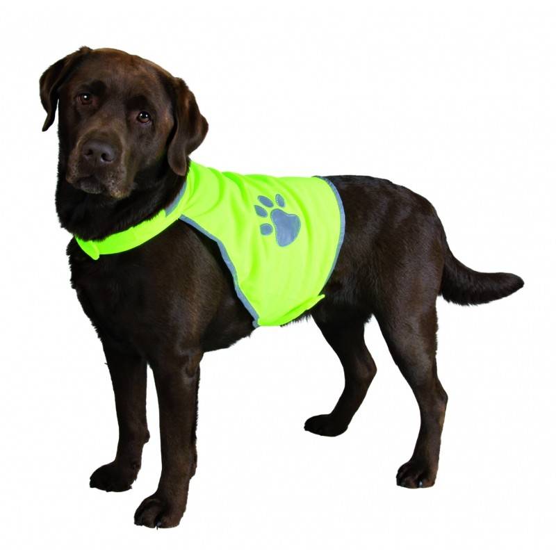 Veiligheidsvest Safety maat S