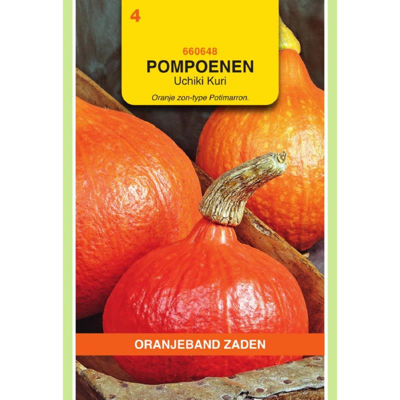 OBZ Pompoenen Uchiki Kuri