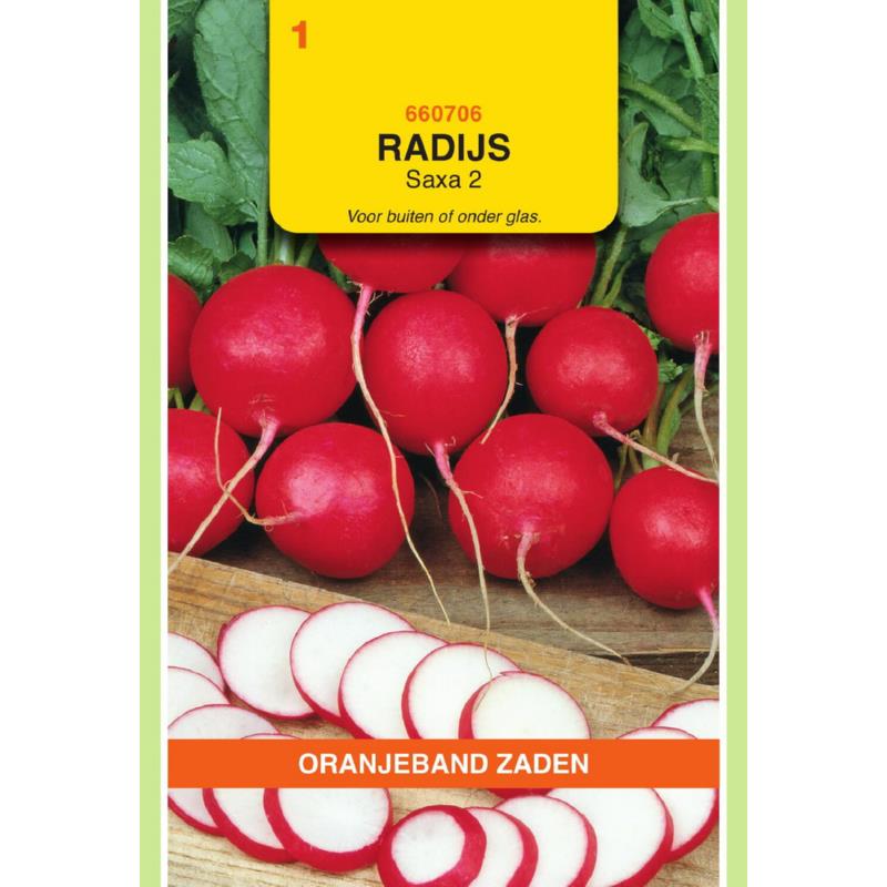 OBZ Radijs Saxa 2