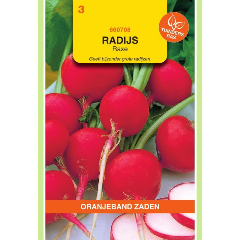 OBZ Radijs Raxe