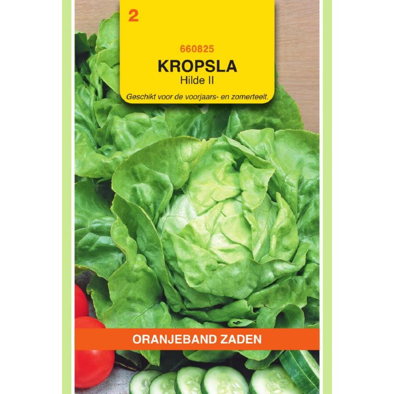 OBZ Kropsla Hilde II