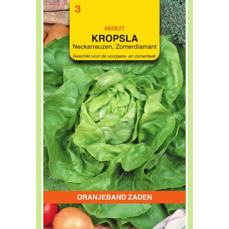 [660827] OBZ Kropsla Zomerdiamant