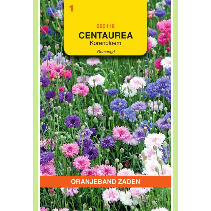 OBZ Centaurea, Korenbloem dubbelbloemig gemengd