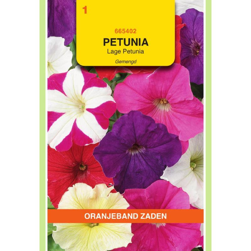 OBZ Petunia laag gemengd