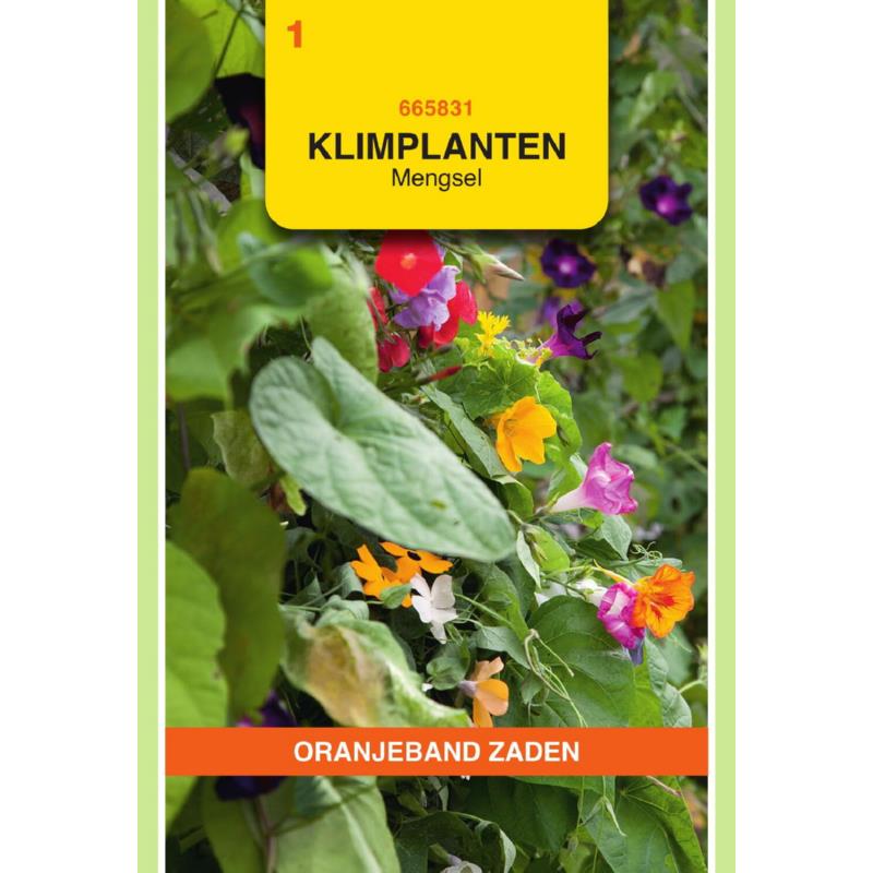 OBZ Klimplanten mengsel