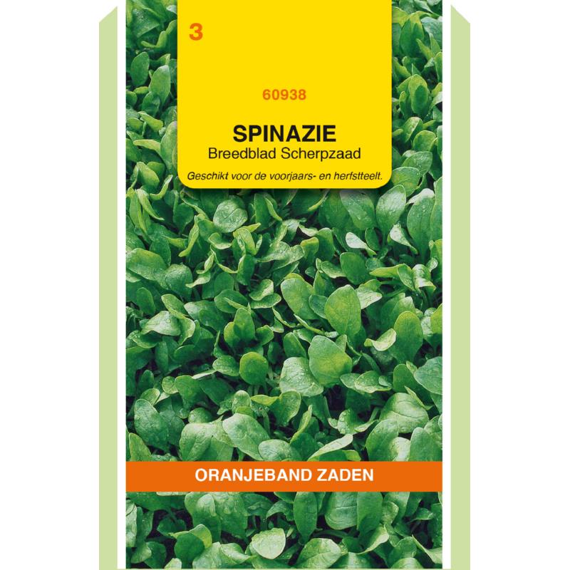 OBZ Spinazie Breedblad Scherpzaad, 50g