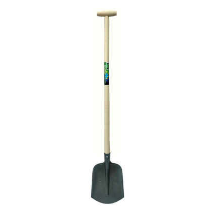 Bats EuroTool 00-100 cm