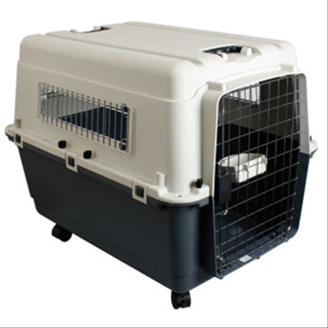 Reiskennel Nomad L ook vliegtuig