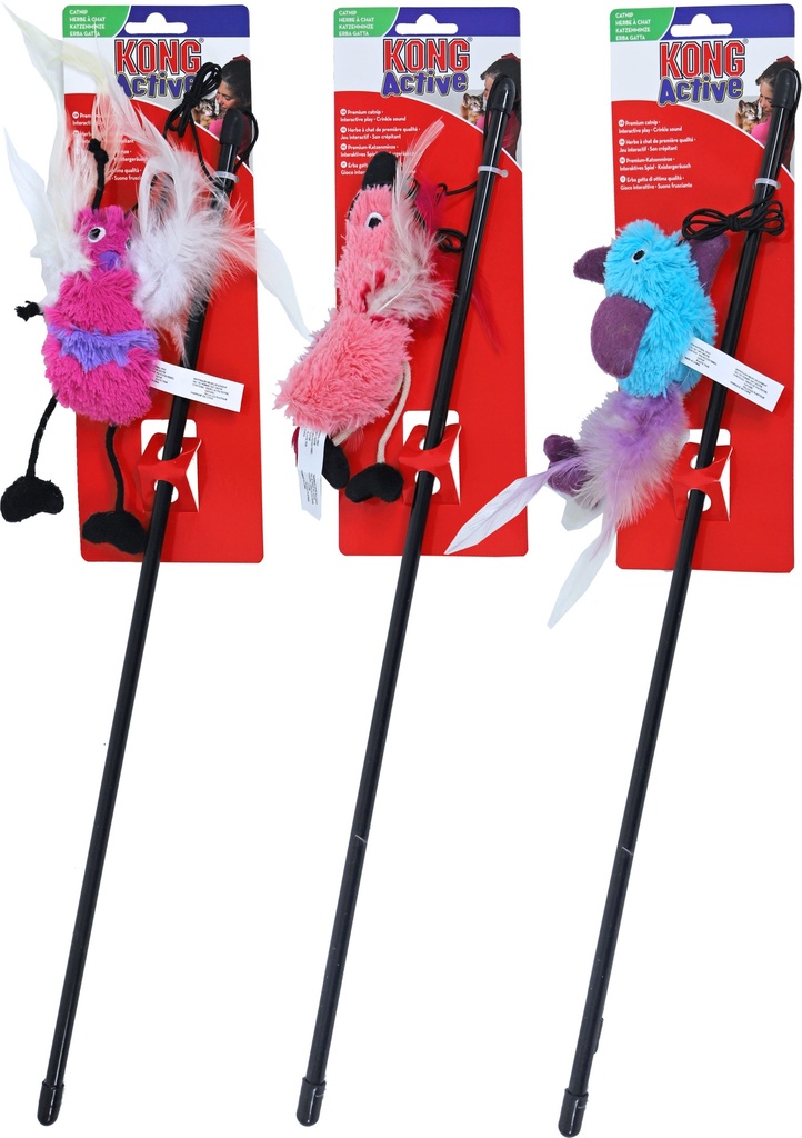 Kong kat Feather Teaser