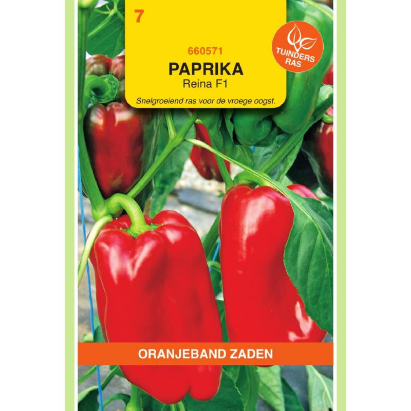 OBZ Paprika Reina F1