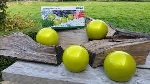 # Terracotta bollen tuinbollen doos.