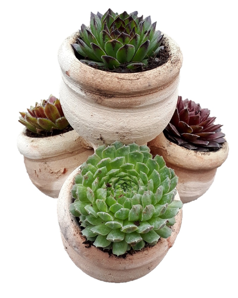 P5 Piramidepot klein