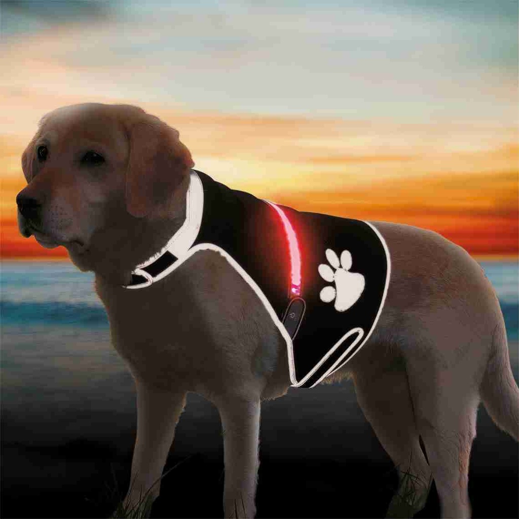 USB Flash Veiligheidsvest, S: 36–58 cm, zwart