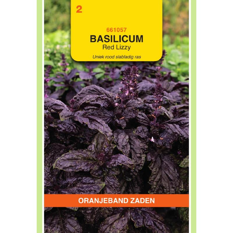 OBZ Basilicum Rode slabladige Red Lizzy