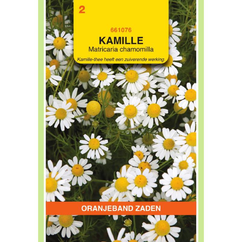 OBZ Kamille