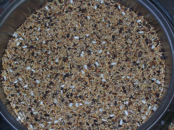 [10112] PARKIET  GROF  20kg