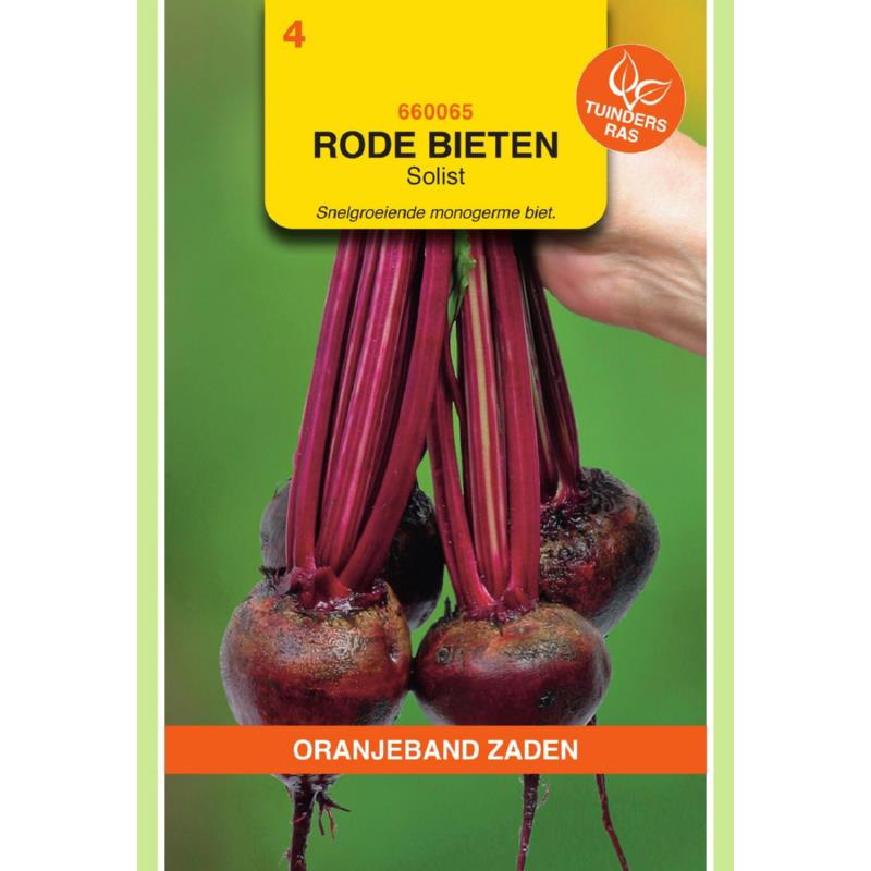 OBZ Rode Bieten Solist (Monogerm)