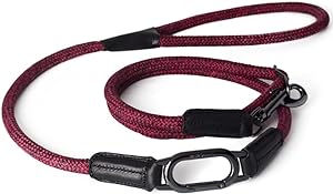 H5D METROPOLITAN CLIC Leiband Rood-11mmx140cm