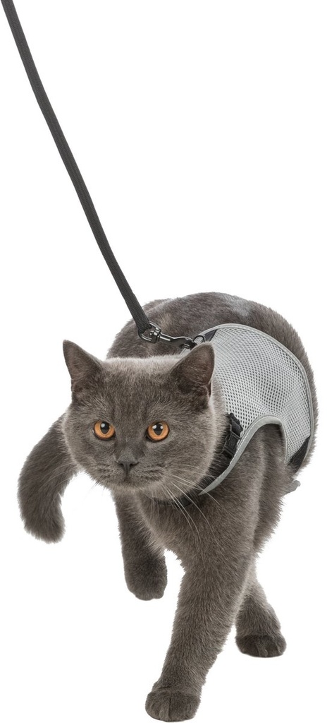 Softtuig kat, met riem, 24-42cm, 1,20m